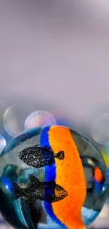 Colorful glass marble with fish pattern.