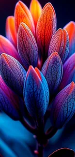 Vibrant gradient flower with colorful petals.