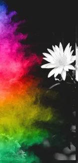 Vibrant gradient flower on monochrome background.