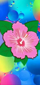 Vibrant hibiscus flower on colorful spheres background.