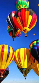 Colorful hot air balloons in a clear blue sky.