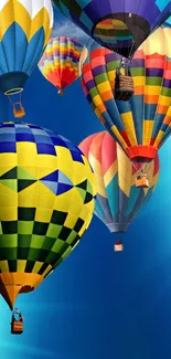 Bright hot air balloons against a vibrant blue sky.