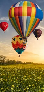 Vibrant hot air balloons over a sunny field at sunset.