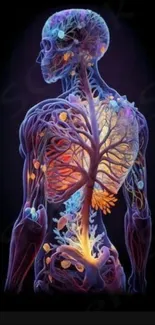 Colorful human anatomy art with vibrant purple hues.