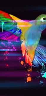 Colorful hummingbird with rainbow wings on dark background.