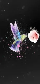 Vibrant hummingbird with flower on black background wallpaper.