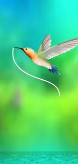 Colorful hummingbird flying in lush green background