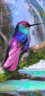 Colorful hummingbird perched by a waterfall in nature.