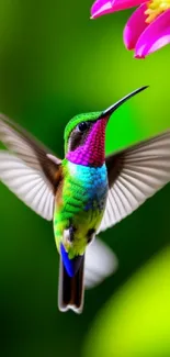 A vibrant hummingbird in flight with a green background and pink flower.