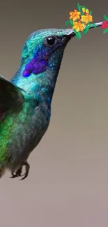 Colorful hummingbird with vivid green and blue plumage in flight on a mobile wallpaper.