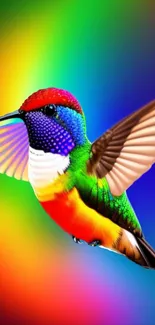 Vibrant hummingbird on a colorful rainbow gradient background wallpaper.