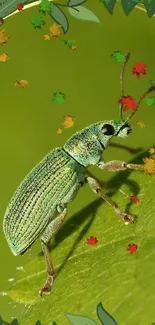 Green beetle on a leaf with colorful design accents.