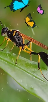 Vibrant insect on green leaf with colorful butterflies and rain droplets.