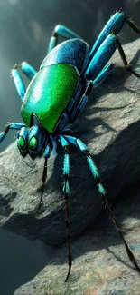 Close-up of a vibrant insect on a rock.