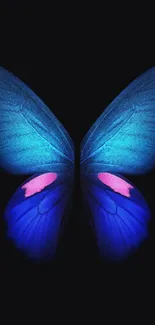 Colorful Invertebrate Light Live Wallpaper