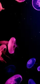 Glowing jellyfish in dark ocean wallpaper.