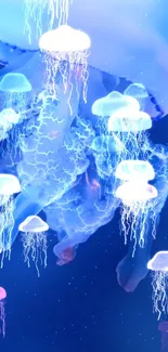 Colorful glowing jellyfish against a deep blue ocean background.