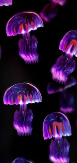 Vibrant purple jellyfish floating in a dark space.