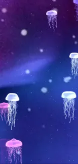 Colorful jellyfish on a purple background.