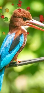 Colorful kingfisher perched on a branch in natural setting.