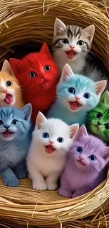 Colorful kittens snuggled together in a nest.