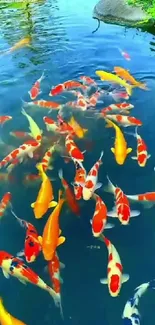 Colorful koi fish swimming in a serene pond.