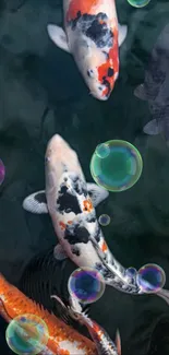 Colorful koi fish with bubbles on a dark background.