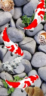 Koi fish swim on gray stones with seashells and greenery, creating a serene scene.