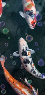 Colorful koi fish swimming in a serene pond.