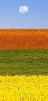 Colorful fields and moon under a blue sky, perfect for a mobile wallpaper.