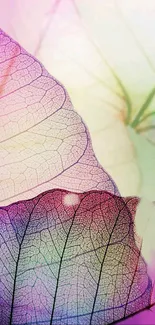 Pastel-colored abstract leaf design mobile wallpaper.