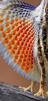 Vibrant lizard with colorful frills on a mobile wallpaper background.