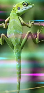 A vibrant green lizard perched on a branch against a colorful blurred background.