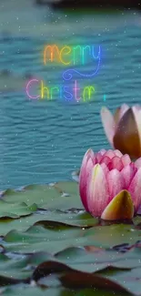 Pink lotus blossoms with a Merry Christmas neon text on teal water.