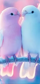 Two colorful lovebirds perched on a frosty branch.