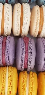 A close-up of colorful stacked macarons.