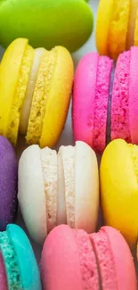 Colorful macarons lined in a vibrant pattern.