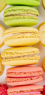 Macarons in green, yellow, pink among kiwi, banana, and raspberries.