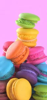 Colorful macaron stack on a bright pink background.