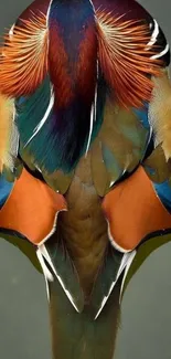 Top view of a vibrant mandarin duck with colorful feathers.