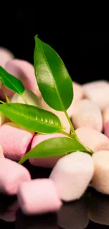 Green leaves on pastel marshmallows with a black background.