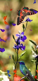 Colorful butterfly and hummingbird on flowers in nature wallpaper.