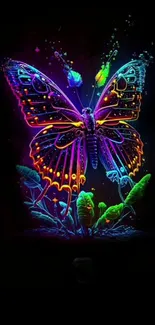 Colorful neon butterfly with glowing effects on a dark background.