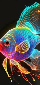 Vibrant neon fish with colorful fins on a black background.