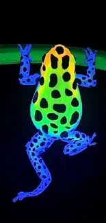 Neon frog on a black background, showcasing vibrant colors.