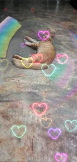 Ginger cat with neon hearts and rainbow reflections on a floor.