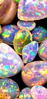 Colorful opal gemstones with a rainbow shimmer.