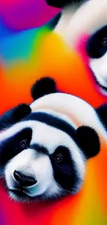 Vibrant panda wallpaper with colorful abstract design.