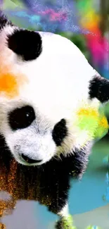 Colorful artistic panda image with vibrant splashes.