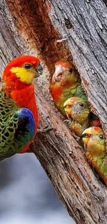 Vibrant parrot family nestled in a tree trunk, vivid colors.